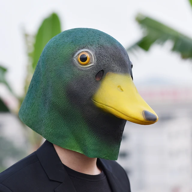 Mallard Duck Costume mallard-duck-costume