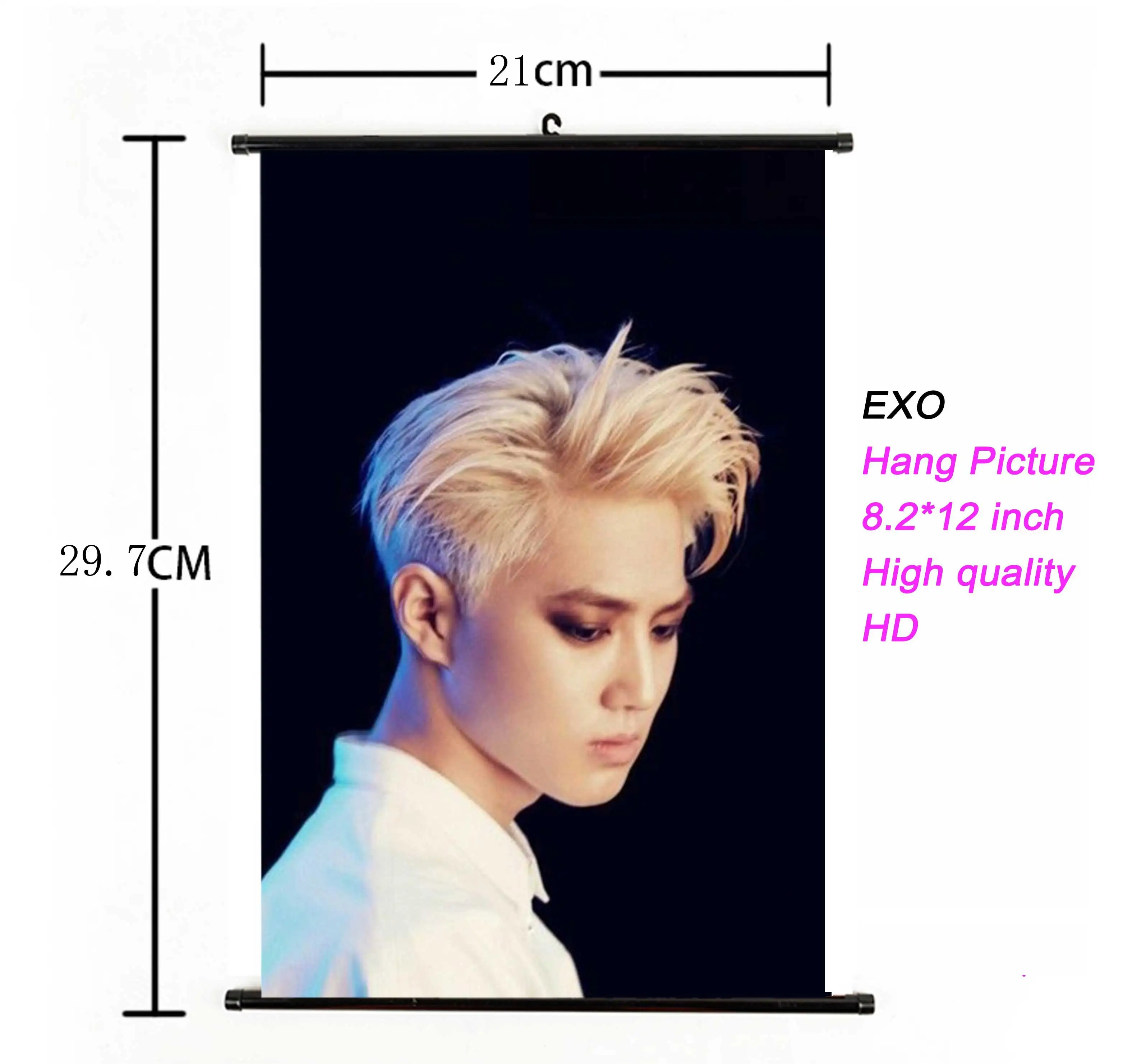 K-pop EXO альбом повесить изображение фото плакат Свернутый Свиток Kpop EXO повесить плакат ткань 21*30 см для поклонников Коллекция подарков