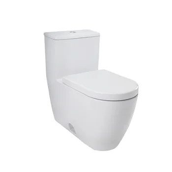 

Duravit Duravit Toilet One-Piece Household Siphon Toilet Seamless Flushing 217301