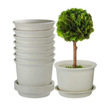 

Flower Pot Round Plastic Tray Base with Bottom Succulent Potted Green Dill Imitated Ceramic