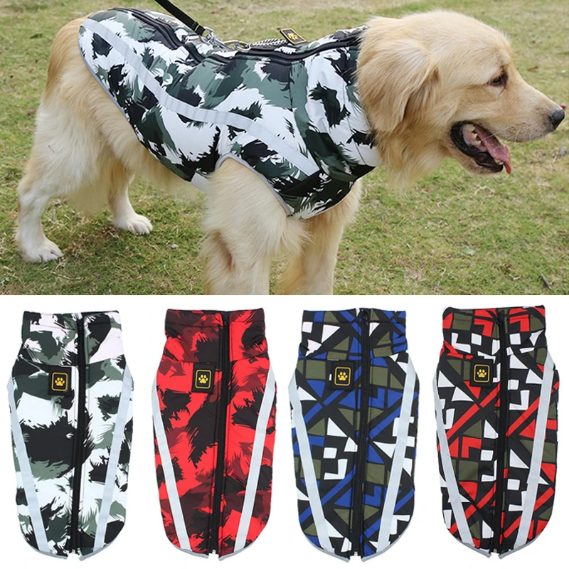 pitbull winter jacket