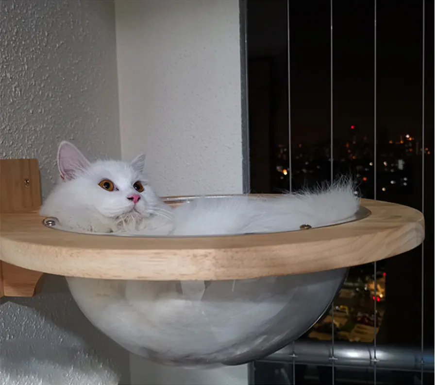 Космическая капсула, подстилка для домашних животных, прозрачное окно, кошка, деревянный дом для кошек, дерево, настенный дом, деревянная рамка для скалолазания, мост для котят