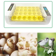Automatic Brooder 24 Eggs Turning Fully-automatic Incubator Chicken Hatcher Temperature Control Chickens Ducks Geese EU/US/AU household small 96 eggs chicken brooder automatic eggs turning system best price quail egg incubator