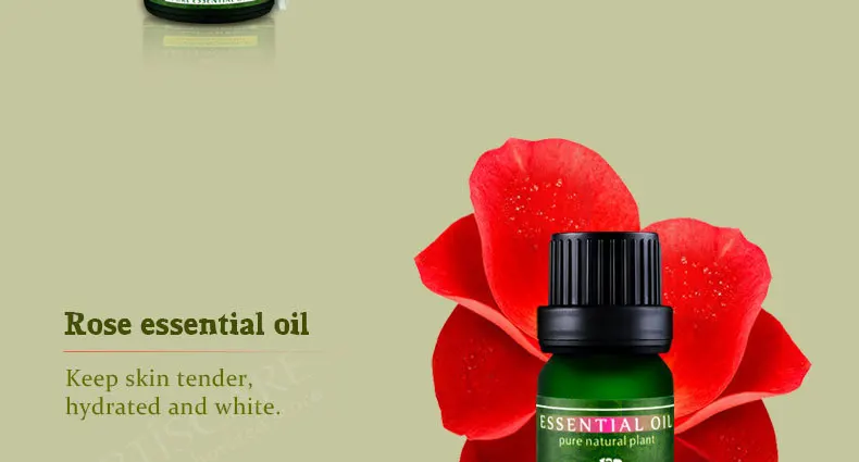 jojoba_16