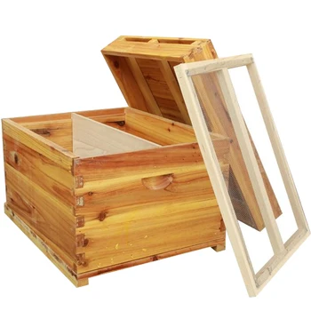 

Bees In The Bee Standard Ten Box Beehive Package Full Set Of Beekeeping Beekeeping Tools Dedicated Pine Boiled Wax Flat Box