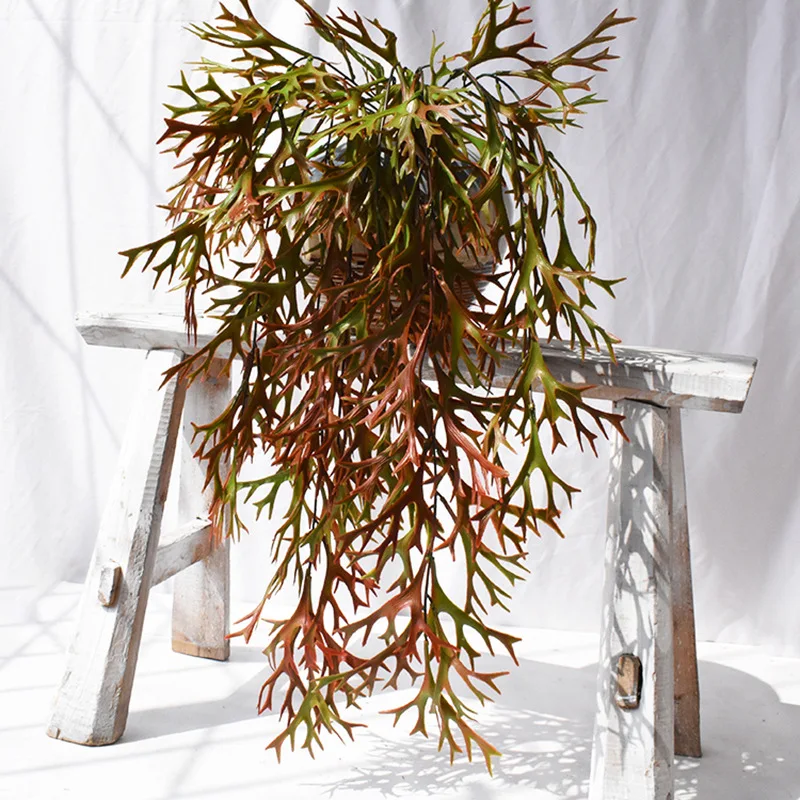 9589224137_919998717