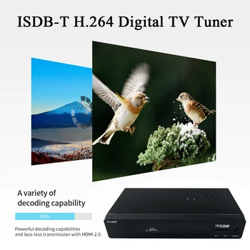

Peru Brasil Chile Digital Terrestrial TV Tuner ISDB-T TV Receptor Receiver ISDBT Set Top Box H.264 VHF/UHF Full HD AC3 FTA Tuner