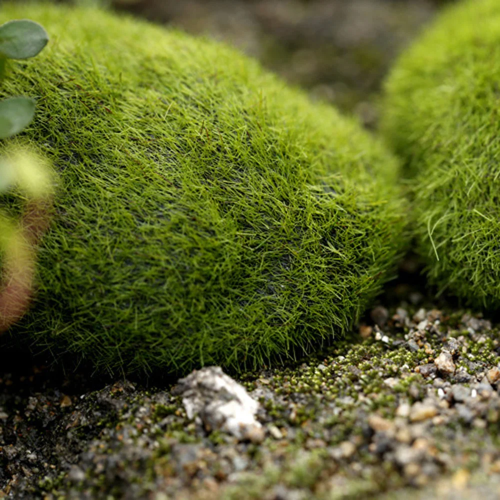 8a9ae1c16ea56f3a016ea7469e940b3b