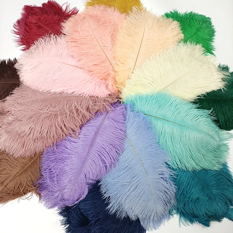 Wholesale 10Pcs/Lot New Colorful Ostrich Feathers White Black Feather Decor Plumes Vases Party Wedding Accessories Decoration