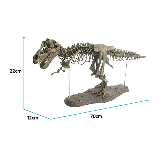 Simulation DIY 3D Dinosaur Model Skeleton Educational Dinosaurio Biology Biologia Interesting Toy For Children Gift Dinosaurios 4
