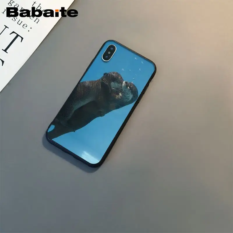 lovely cute Otter water animal