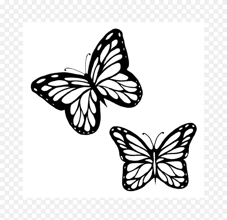帝王蝴蝶轮廓素描夹艺术 蝴蝶黑白轮廓png图片素材免费下载 图片编号1851 Png素材网