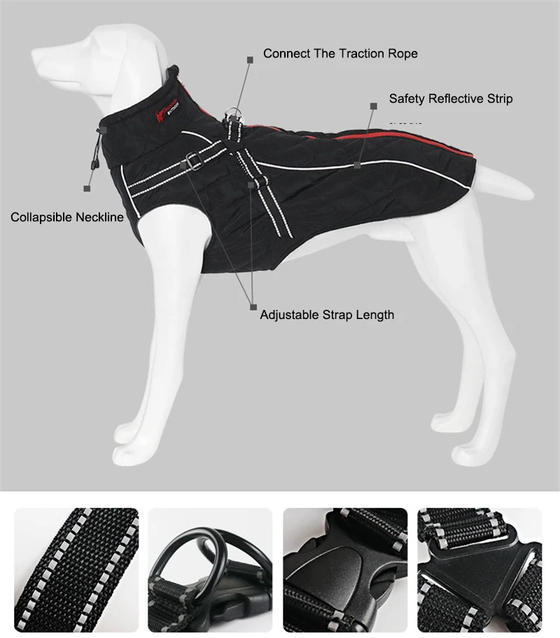 winter dog clothes (3)