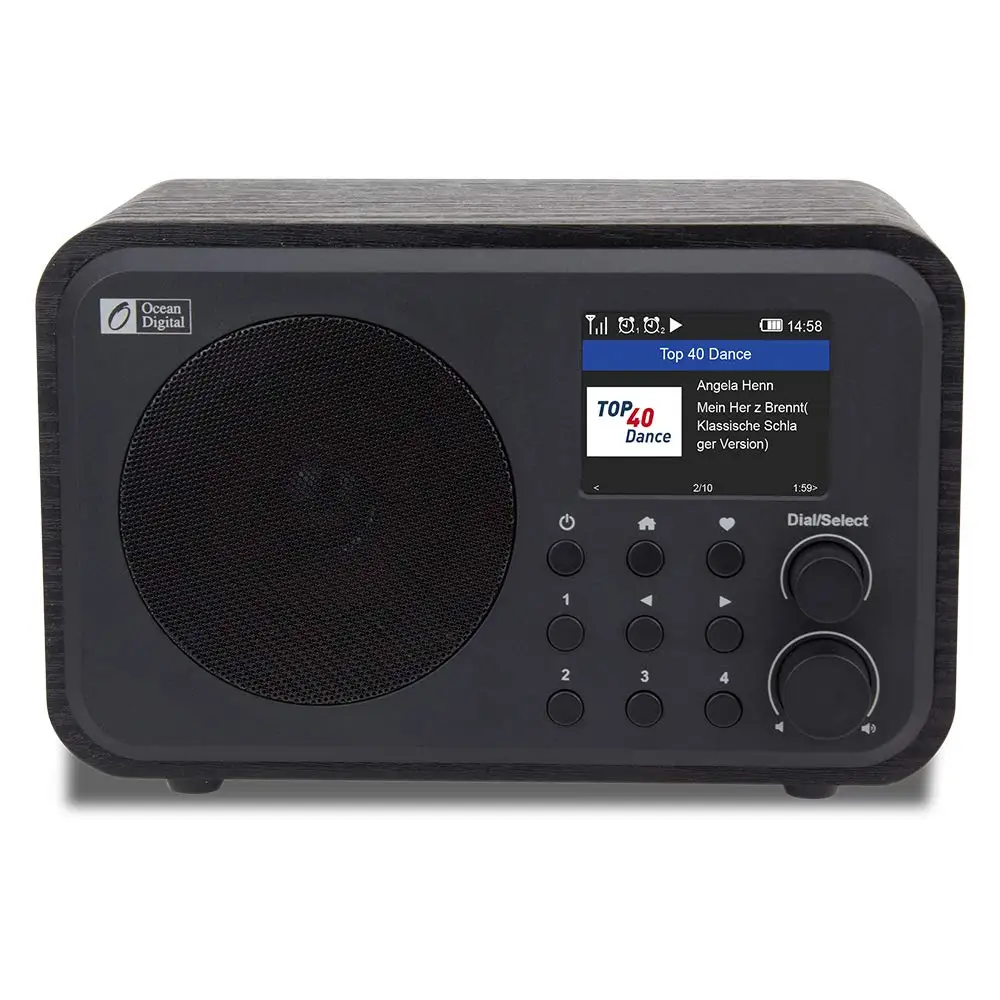 WiFi Internet Radios WR 336N Portable Digital Radio with Rechargeable  battery, Bluetooth Receiver|Radio| - AliExpress