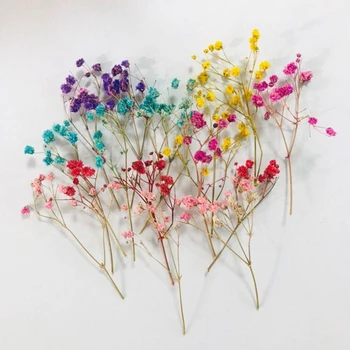 

dimensional starry eternal flower diy handmade jewelry dried flowers natural flowers three-dimensional greeting card flowers