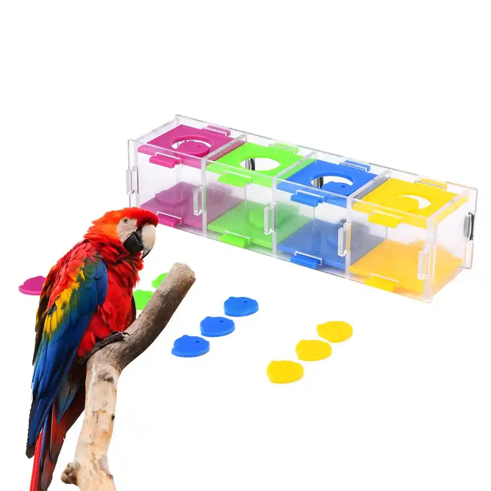 cockatiel puzzle toys