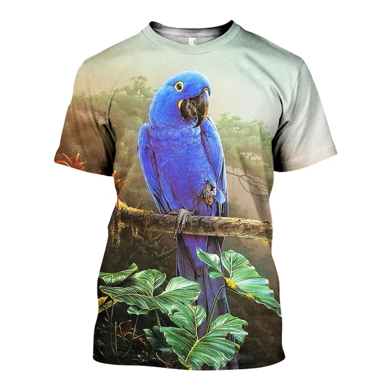 Duc_Parrot_3D_DT25071904_ts_800x