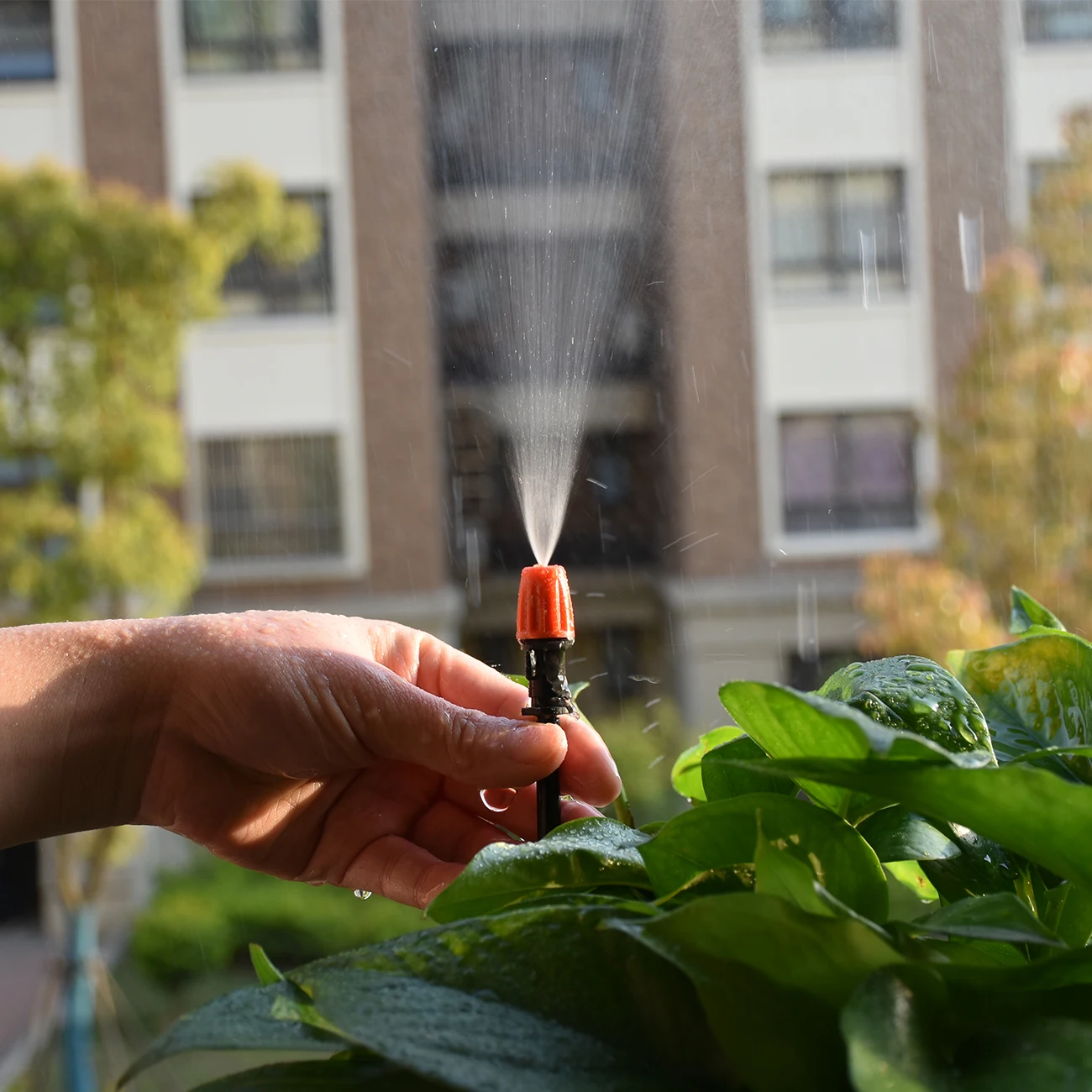 Acheter Buse d'arrosage à brouillard suspendue pour jardin et