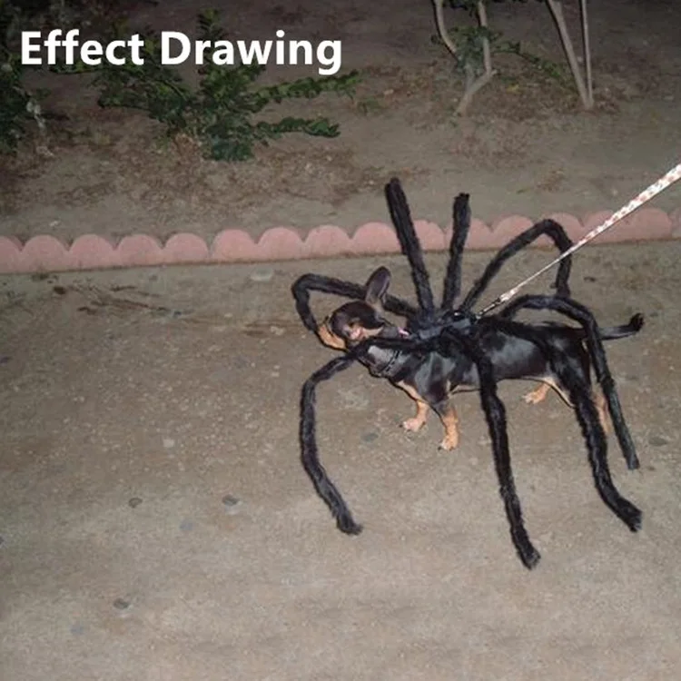 1_0002_Spider-Dog-_ttp4