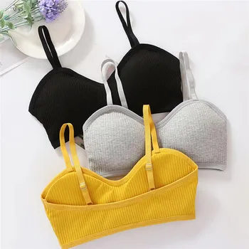 

Casual Women Underwear Shear Seamless Vest Bra Tops Slim New Solid Crop Top Without Steel Ring Ladies Slim Vest Top 2020 New