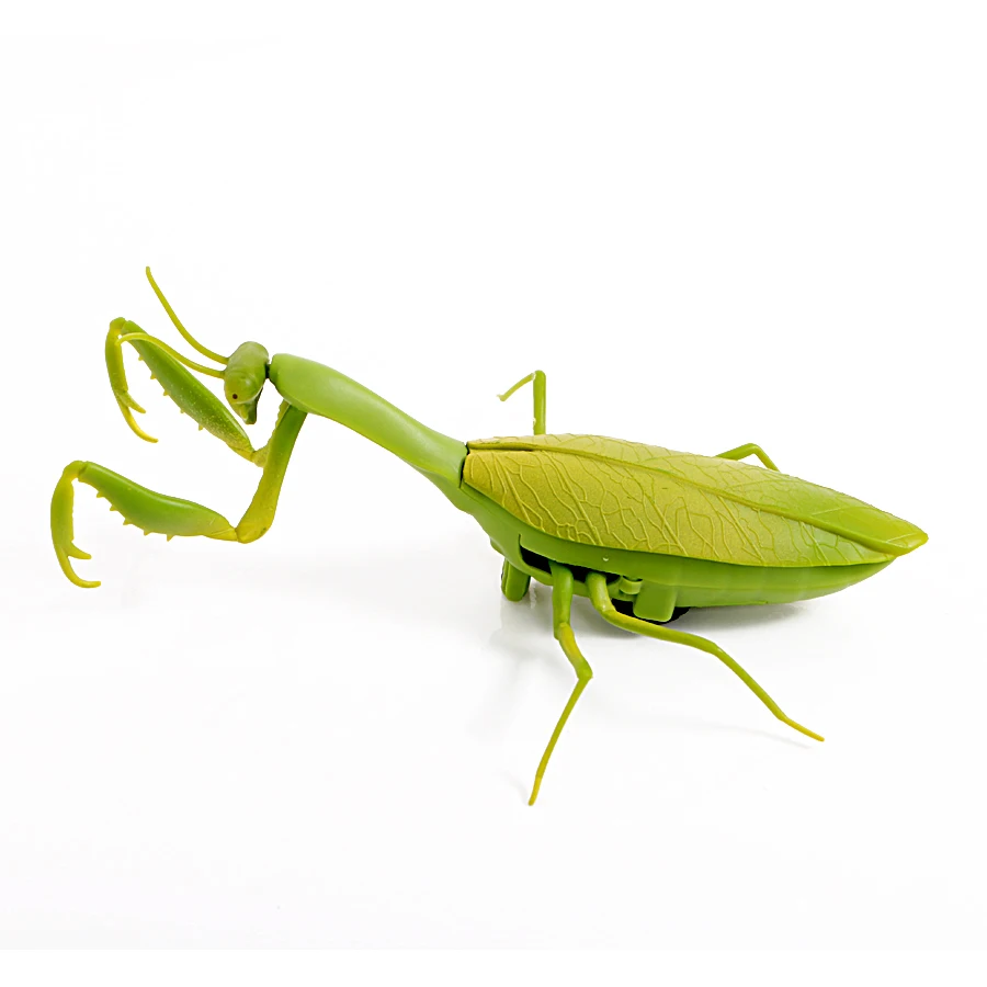 Infrared Remote Control Animal Insect Toys Simulation snake bee Electronic robot toy for cat dog Halloween Prank Funny Toys remote control insect toys remote control pet toys remote control dinosaur toys remote control snake toys