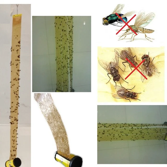 4Db Rovar Hibás Légy Ragasztó Papír Légygyilkos Csapdabalag Szalag Ragasztócsomagok Rovarok Ragasztószalag Csíkok - Image 4