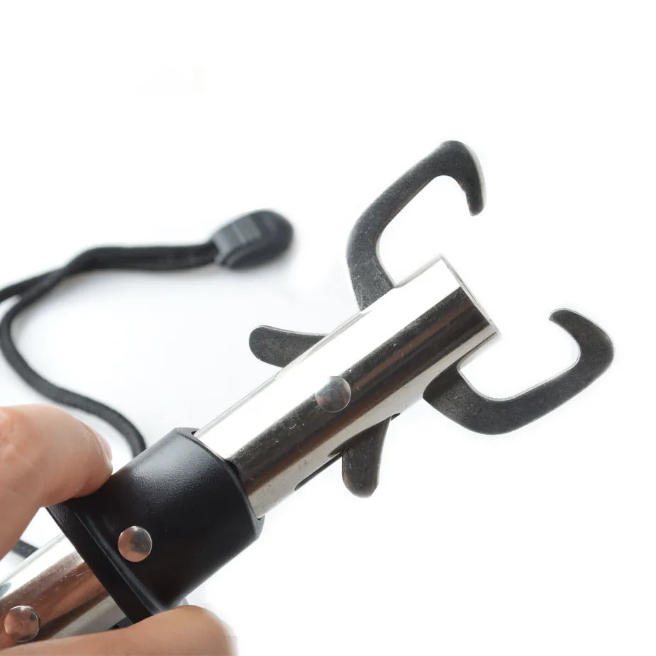 0908026c9fada430a0da49c75134eb93