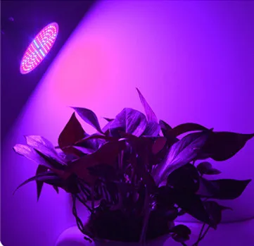 Grow Light Full Spectrum LED Grow Light E27 Plant Lamp For Indoor Seedlings Flower Grow Tent Box grow light
