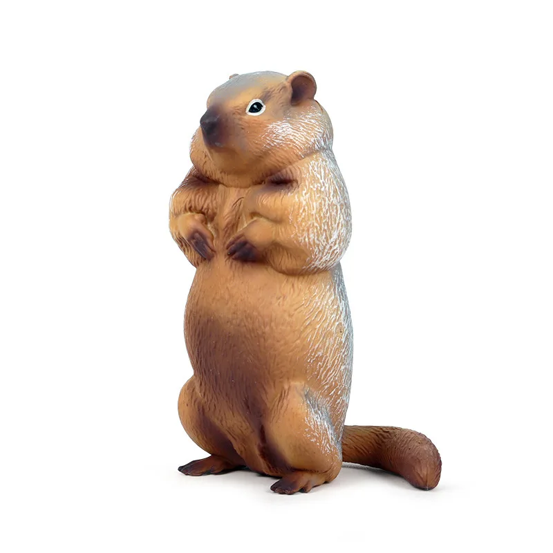 Детская сплошная модель диких животных грызунов модель Marmot mouse Chipmunks игрушка украшение гаражный комплект