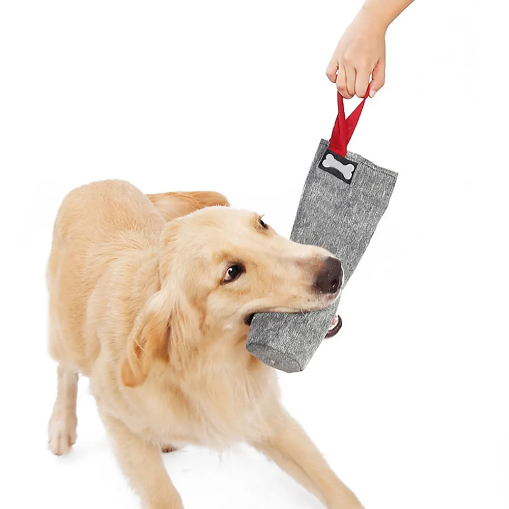 dog chewing plastic bottle