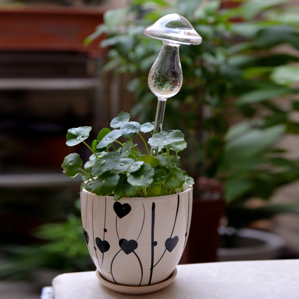 

5 Color Plant Self Watering Device Glass Plant Flowers Water Feeder Mushroom Shape Design Clear Glass Plant Waterer Device May18