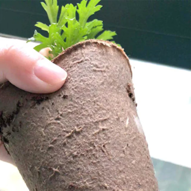 5/10/20/30/40/50Decs Planpaper Pot Starters Óvodai Kupa Gyógynövénykészlet Otthoni Termesztési Növények Virág Bio Biológiailag Lebontható Növény - Image 5