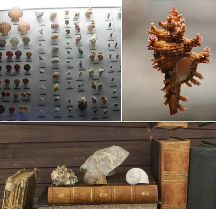 H5ad857e2e2be4bffa3ae8afc3dd77cfcw.jpg?width=742&height=716&hash=1458