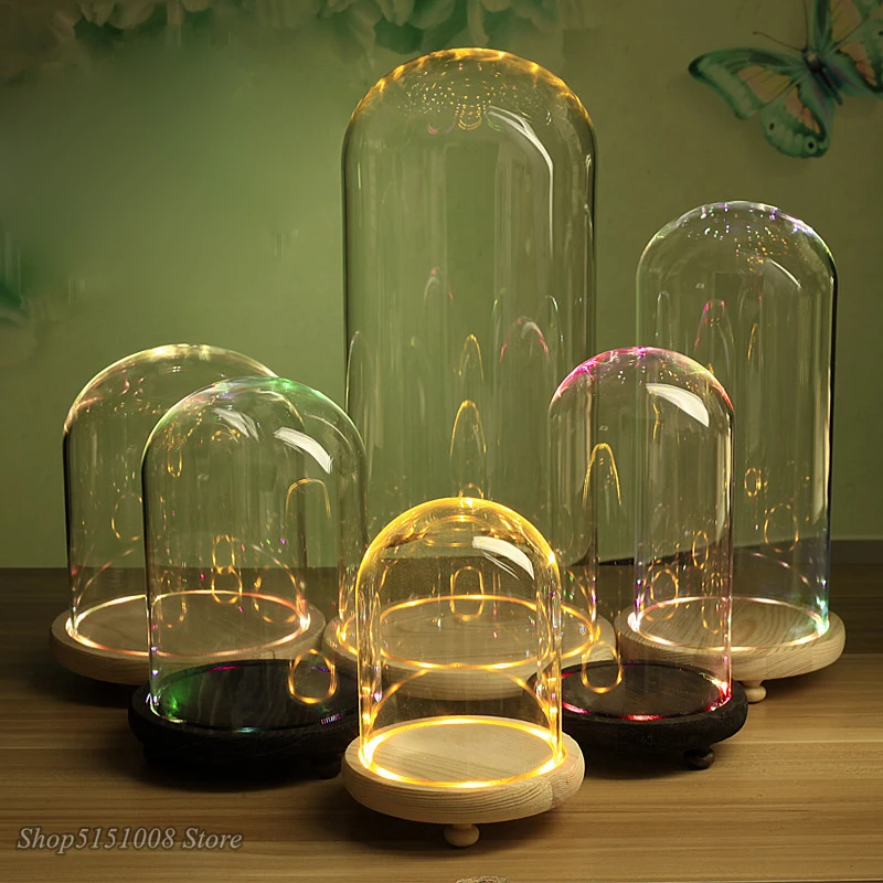 Modern Glass Night Lights Dome Cloche Cover Decor Dry Flower Ornaments