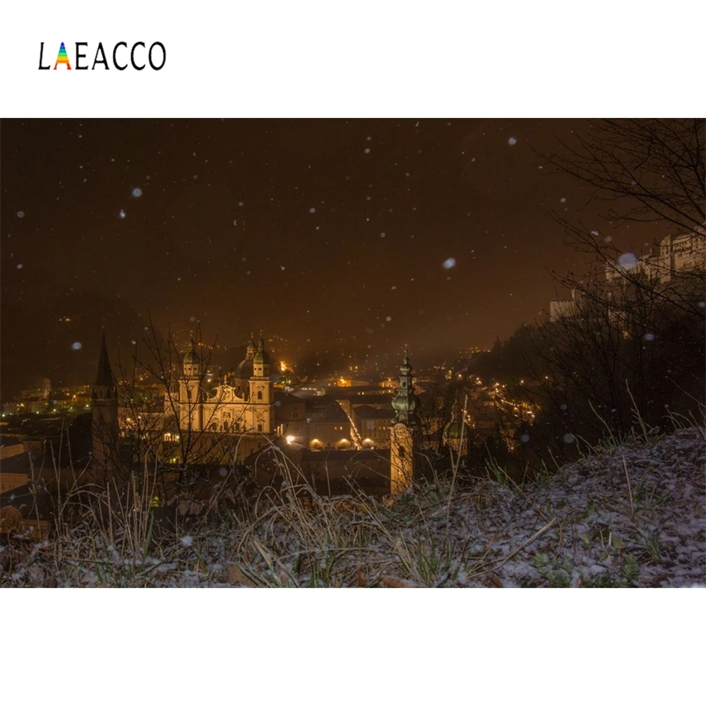 Laeacco ночной природа город фотографии фоны индивидуальные Семейные фотосессии