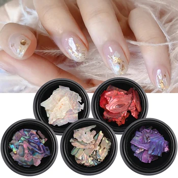 

1Box Abalone Shell Slices Nail Art Flakes 3D Irregular Holographic Tip Natural Peacock Color Stone Manicure Decoration BEBA01-18