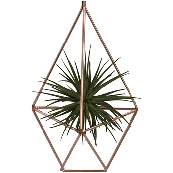 

Hanging Air Plants Holder Rustic Wall Mount Irregular Pentagon Geometric Hanging Decor Rose Gold (No Plants)
