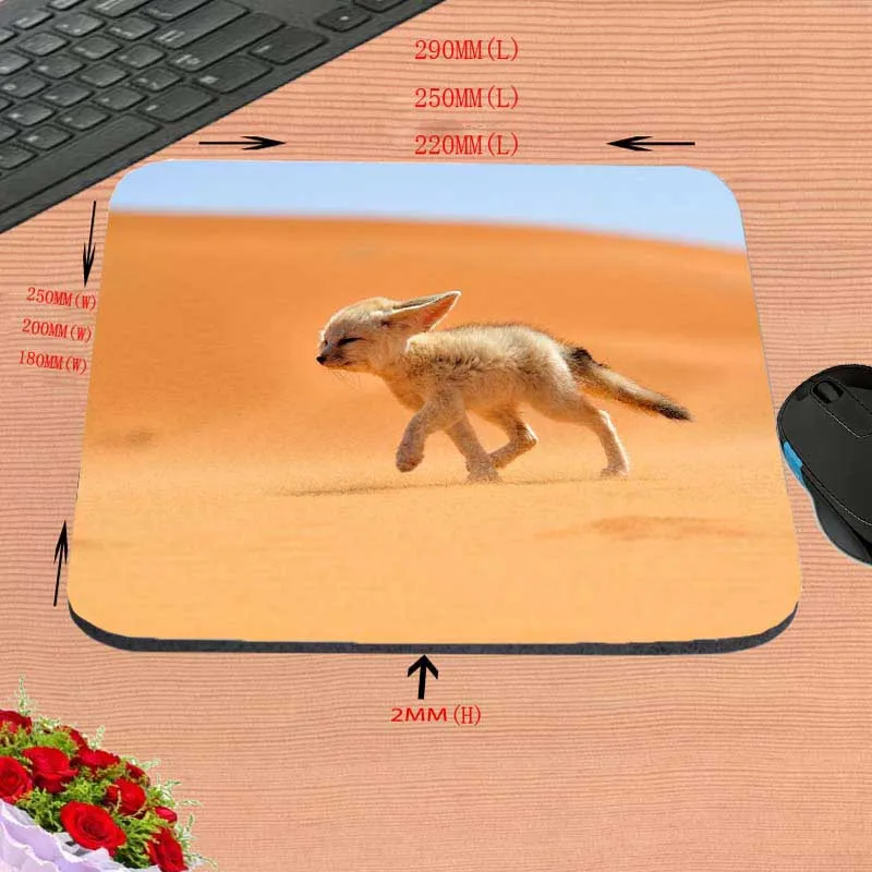 Congsipad дешевые лучшие забавные животные пустыни уха лиса Забавный пользовательский коврик для мыши для размера 18*22 см и 25*29 см и 25*20 см в подарок