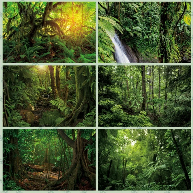 春の森の背景写真撮影自然シーンの森写真の背景テーマパーティーphotoboothの小道具 Party Backdrops Aliexpress