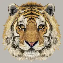  Funny Tiger Pattern Clothing Badges Patches Heat Transfer Fashion Diy Tops Vinyl Appliqued Iron On Transferwashable 