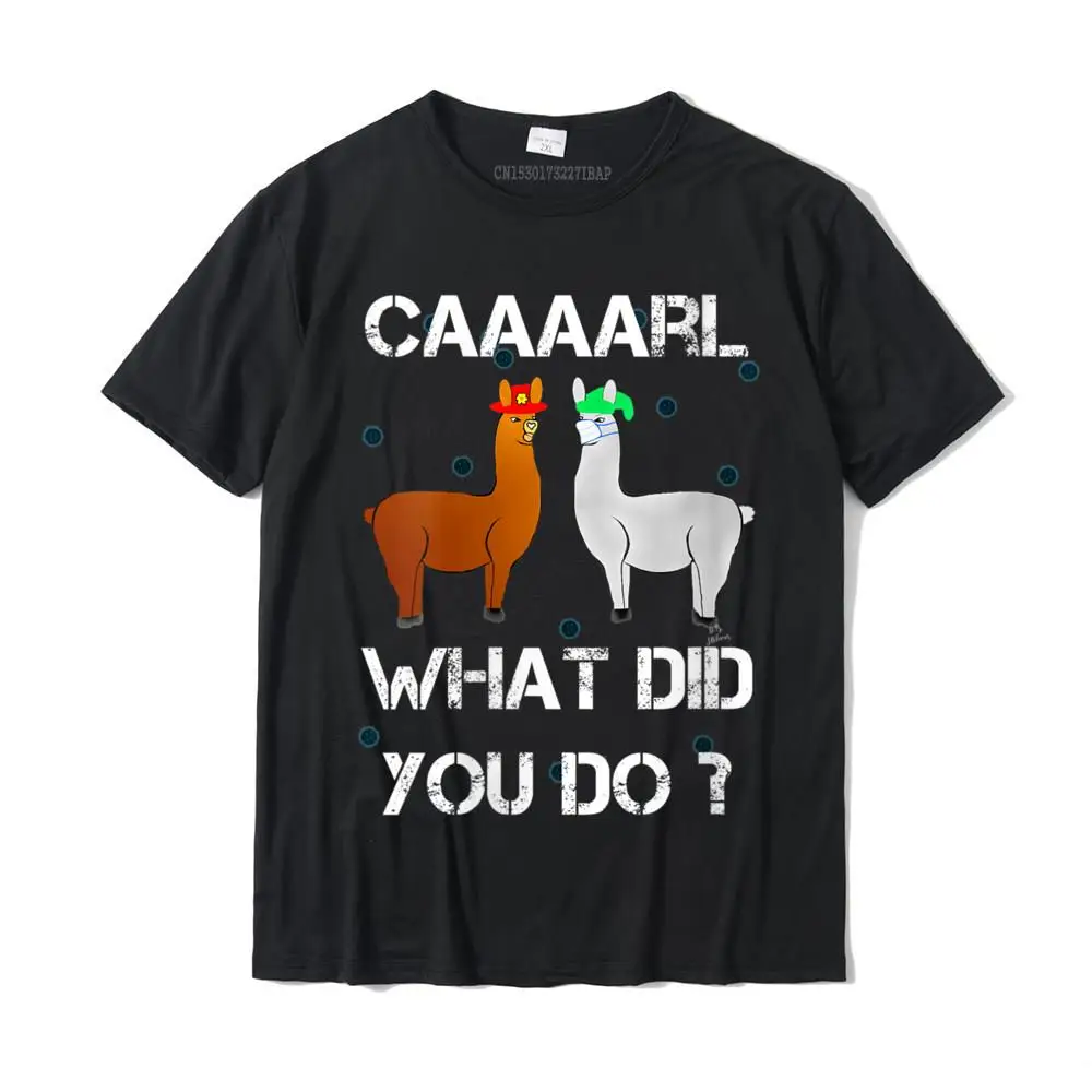 Plain Summer Casual Short Sleeve T-shirts Summer Fall O Neck Cotton Fabric Tops Tees for Adult Tshirts Normal Free Shipping Womens funny llama with hats lama with hat carl what did you do V-Neck T-Shirt__MZ23537 black