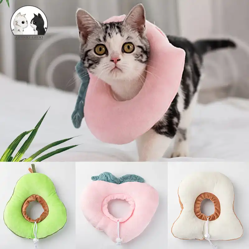 cat medical collars