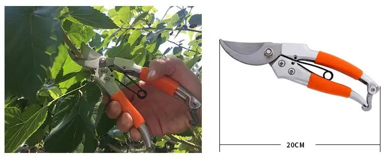 QQ截图20191116134710