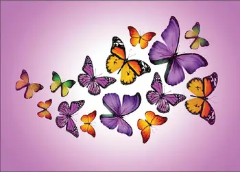 

Vinyl Custom Photography Backdrops Prop Butterfly theme Photo Studio Background 19128-14