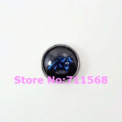 Carolina Panthers Микс 50 шт./лот Спортивная команда LogoFloating амулеты для стеклянных плавающих аксессуары для медальонов - Окраска металла: Carolina Panthers
