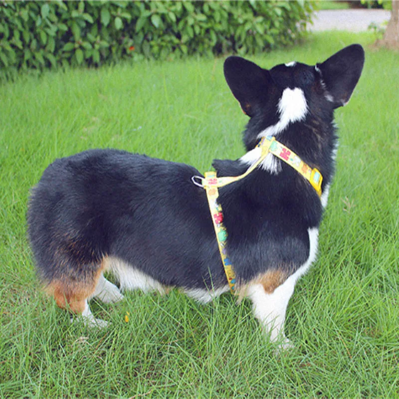 Tuff Hound нейлоновый собачий H-Shaped жилет для животных Harnes с принтом, регулируемый, без тяги, жилет для собак, мягкий, удобный, Сбруя-жилет