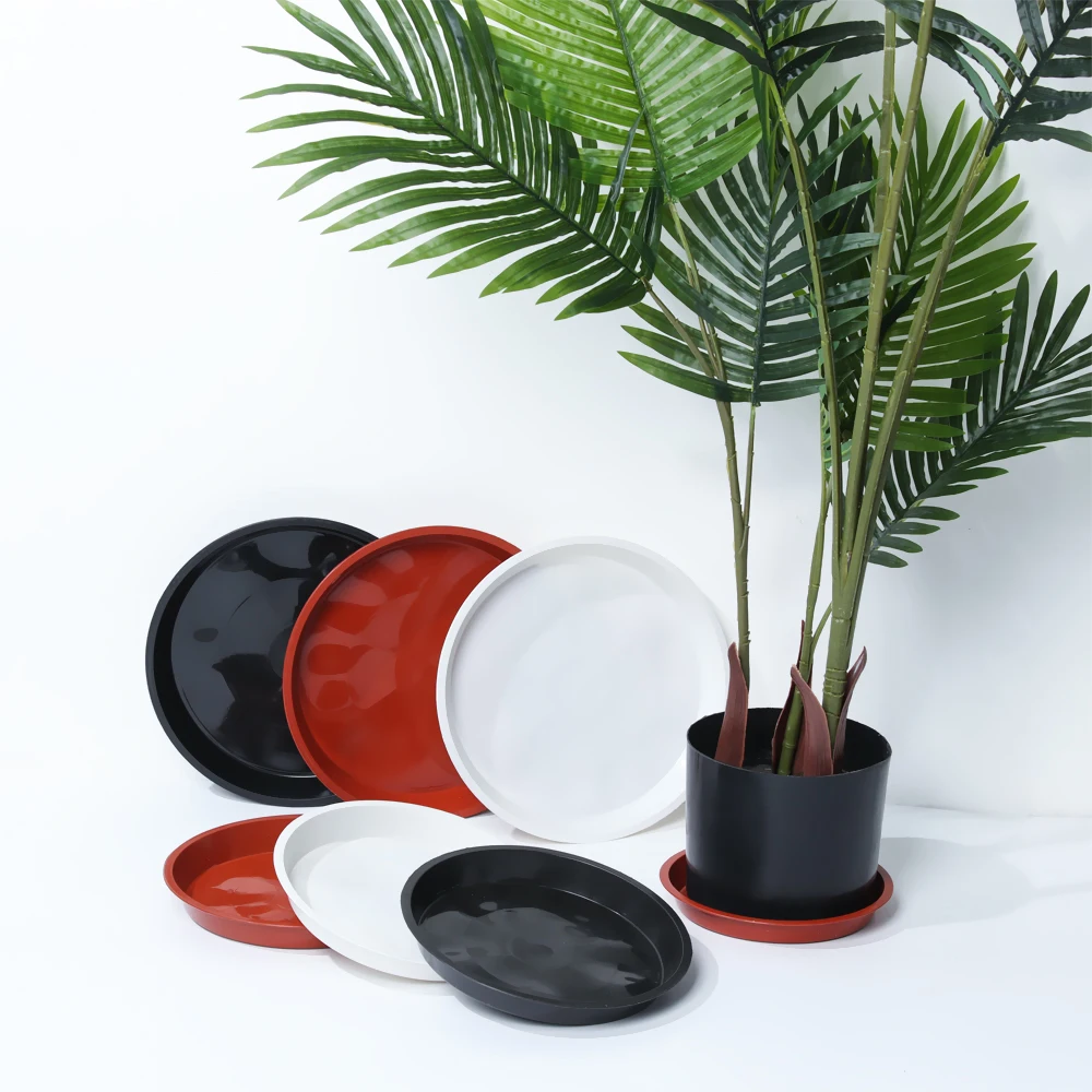 12 Sottovasi Rotondi In Plastica Nera Per Piante, 3 Misure (15,2/20,3/25,4 Cm), Con Bordo Ondulato - 3