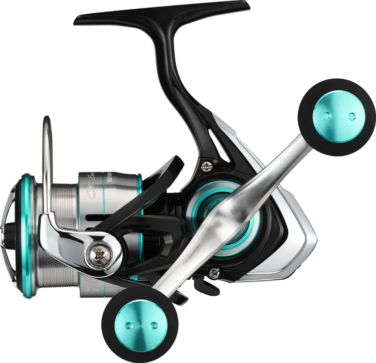 daiwa 2019