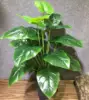 70cm 18 Leaf D