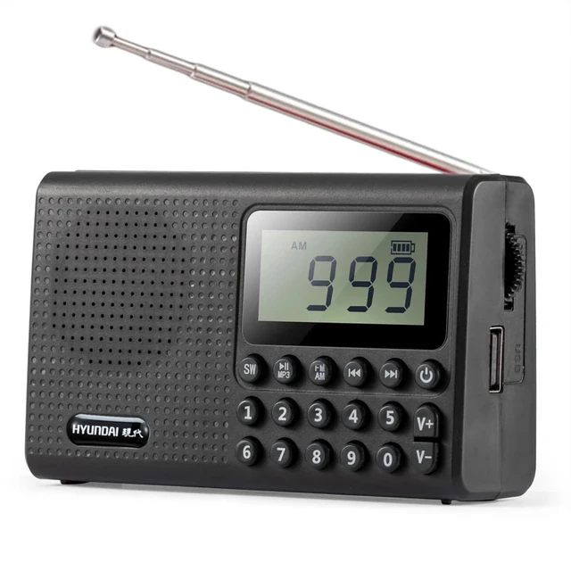  Rysamton Portable AM/FM Radio, Digital Radio Recorder,  Bluetooth 5.0 Radio Speaker, Alarm and Sleep Function, 12/24H Time Display  with Large Digital Display : Electronics